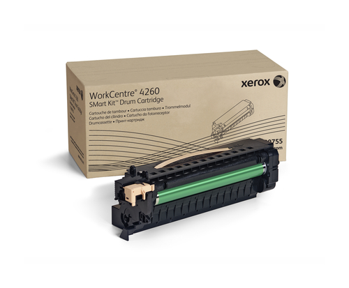 Tóner Xerox 113R00755 Original