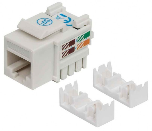 Jack Intellinet RJ45 Cat6 de Impacto (keystone) Blanco