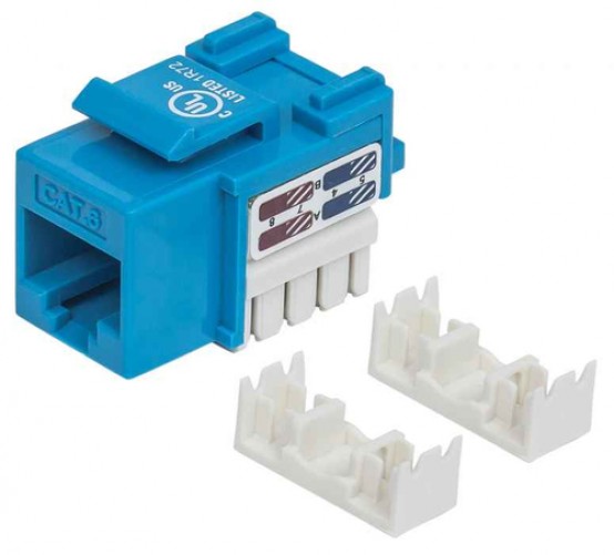 Jack Intellinet RJ45 Cat6 de Impacto (keystone) Azul