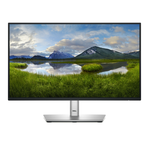 Monitor Dell P Series P2225H LCD, 21.5", Full HD, IPS, 100 Hz, 8 ms, Negro, Plata