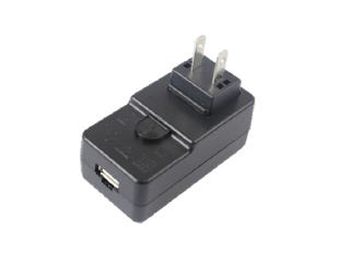 Inversor de Corriente Zebra PWR-WUA5V12W0US 5 V, 2.5 A