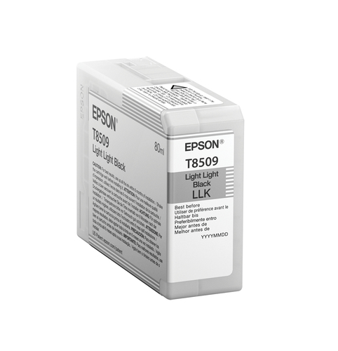 Cartucho de Tinta Epson T850900 Original, Negro Claro Claro